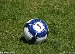 网球巨星发,对暴乱分子,深感耻辱,巅峰国际娱乐,巅峰国际娱乐,超凡国际,巅峰国际娱乐官方,巅峰国际娱乐登录,巅峰国际娱乐入口,巅峰国际娱乐登录