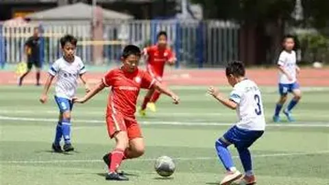 巅峰国际娱乐 资讯 095236 67q